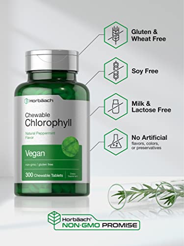 Chlorophyll Tablets | 300 Chewables | Natural Peppermint Flavor | Vegan, Non-GMO & Gluten Free | by Horbaach