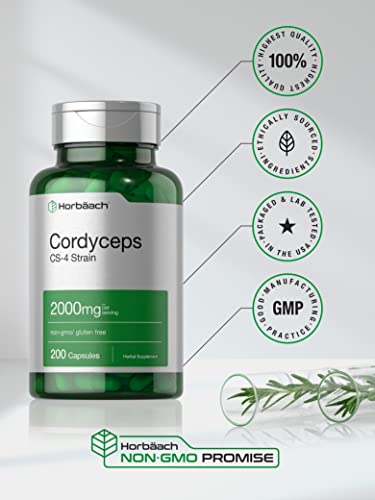 Cordyceps Capsules | 200 Count | by Horbaach