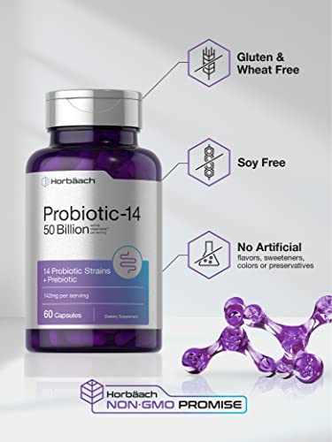 Probiotics with Prebiotics | 60 Capsules | 50 Billion Active Organisms by Horbaach