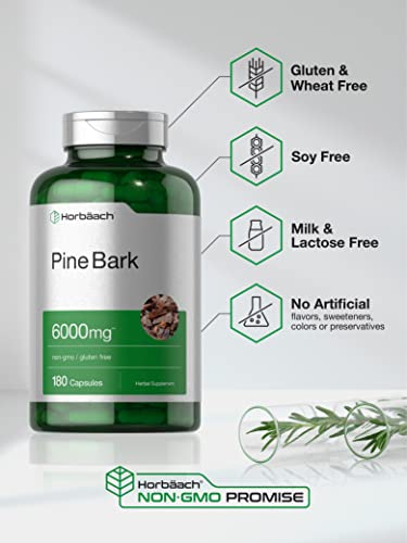 Pine Bark Extract | 6000 mg | 180 Capsules by Horbaach