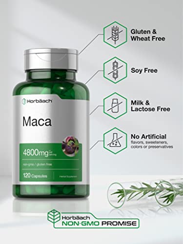 Maca Root Capsules | 120 Pills | High Potency Extract for Men and Women | Non-GMO and Gluten Free Formula | by Horbaach