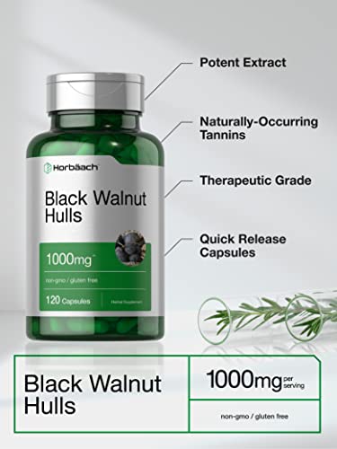 Black Walnut Hulls | 1000 mg | 120 Capsules | Non-GMO & Gluten Free | by Horbaach