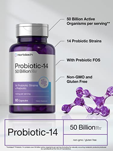 Probiotics with Prebiotics | 60 Capsules | 50 Billion Active Organisms by Horbaach