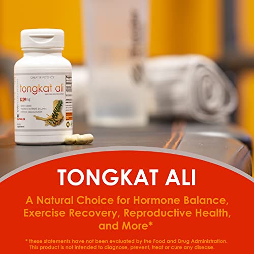 VH Nutrition TONGKAT ALI for Men | Extra Strength Mens Support Supplement | 1200mg Per Serving | Pure Eurycoma Longifolia Extract Powder | 60 Capsules