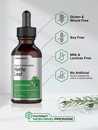 Stinging Nettle Leaf Extract | 2 fl oz by Horbaach